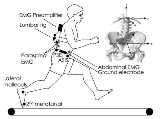 Lumbo-pelvic diagram