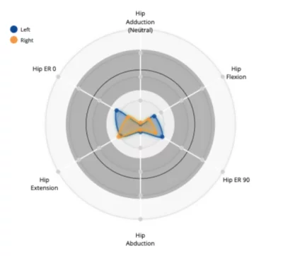 Hip joint data graph