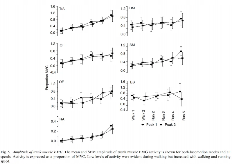Amplitude of trunk muscle EMG