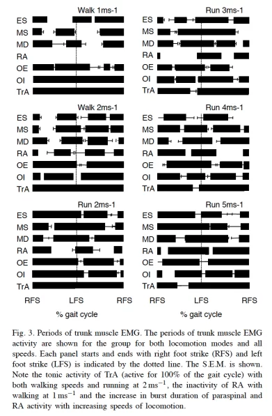 Trunk Muscle EMG